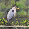 Great Blue Heron on Lily Pad