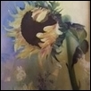 Still Life Mexican Sunflower