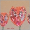 Kaleidoscope Tulips