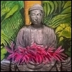 Buddha in the Selby Garden, FL