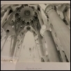 Sagrada Familia by Debbie Scott Williams