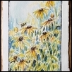 Bee and Black Eyed Susans
