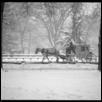 Carriage, Central Park Snowstorm