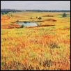 Hidden Colors in Tallgrass Prairie