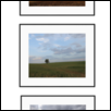 Lone Tree Prairie Triptych
