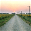 Sunflower Fields, Equinox Sunset, Wilson Co., Kansas