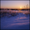 Fresh Snow, Frost, Sunrise, Douglas Co., Kansas
