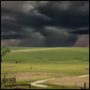 Tallgrass Prairie Thunderstorm
